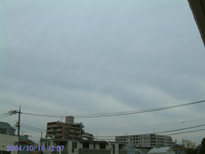 in Tokyo 2004.10.16 12:57 k̋ g_