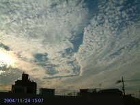 in Tokyo 2004.11.24 15:07  (enlarg. 70)