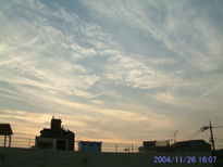 in Tokyo 2004.11.26 16:07  (enlarg. 14)