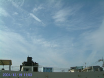 in Tokyo 2004.12.19 11:03  (enlarg. 64)