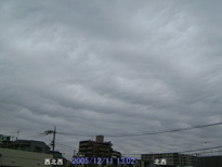 in Tokyo 2005.12.11 13:02 k (k)(enlarg. 79)