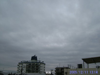 in Tokyo 2005.12.11 13:14 쐼(enlarg. 83)