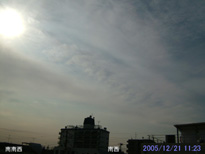 in Tokyo 2005.12.21 11:23 쐼 (enlarg. 53)