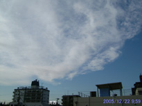 in Tokyo 2005.12.22 09:59 쐼 (enlarg. 01)