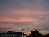 in Tokyo 2006.9.4 18:08 k (enlarg. 91)