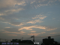 in Tokyo 2006.9.7 17:56 k (enlarg. 07)