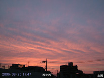 in Tokyo 2006.9.25 17:47 k (enlarg. 18)