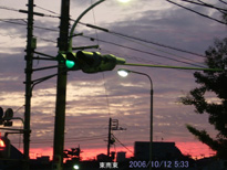 in Tokyo 2006.10.12 05:33 쓌 (enlarg. 28)