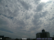 in Tokyo 2006.10.15 12:59 쐼 (enlarg. 36)