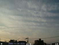 in Tokyo 2006.11.29 15:51 k (enlarg. 31)
