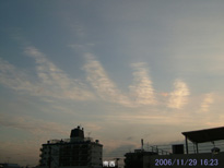 in Tokyo 2006.11.29 16:23 쐼 (enlarg. 50)
