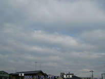 in Tokyo 2006.11.30 14:26 k (enlarg. 08)