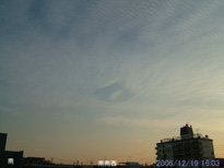 in Tokyo 2006.12.19 16:03 쐼 (enlarg. 78)