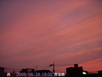 in Tokyo 2009.6.26 19:08 k (enlarg. 91)