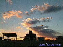 in Tokyo 2003.12.9 16:22 (enlarg. c11)