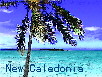 No.001-New Caledonia